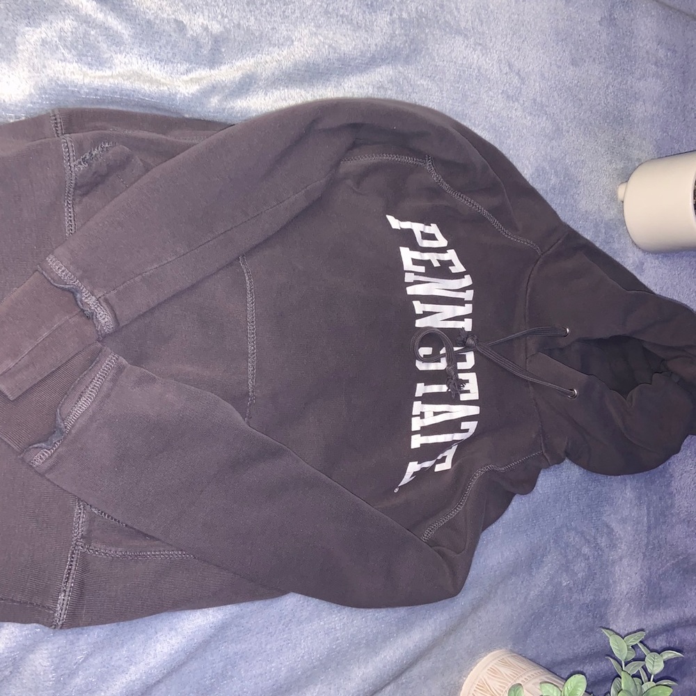 Gray Penn State Hoodie